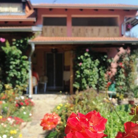 Apartman Mika ソコバニャ エクステリア 写真